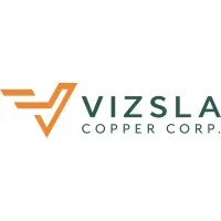 Vizsla Copper Corp.