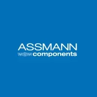 ASSMANN WSW