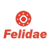 Felidae Infosec Pvt Ltd Felidae Infosec Pvt Ltd