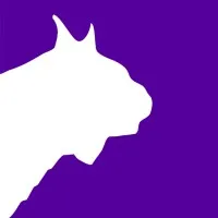 Lynx System Developers, Inc.