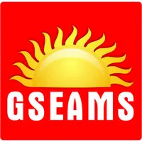GSEAMS