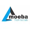Amoeba Technocrats (OPC) P. Ltd. Amoeba Technocrats (OPC) P. Ltd.