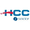 Human Capital Consulting Human Capital Consulting