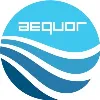 Aequor Information Technologies Pvt. Ltd. Aequor Information Technologies Pvt. Ltd.