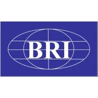 BRI Consulting Group, Inc.