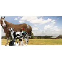 Justin Animal Hospital