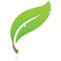 Lifestyle Chiropractic