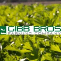 Gibb Bros Farming Company