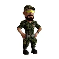 Sainik App