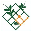 Open Trellis
