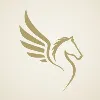 Acumen Holding