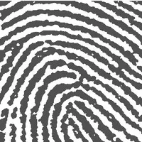 The Cultural Landscape Foundation