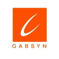 Gabsyn Microfinance Bank Gabsyn Microfinance Bank