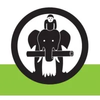 Involvement Volunteers International