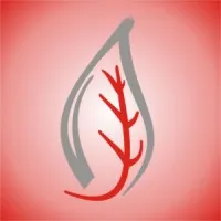 Papyrus Digital Solutions Papyrus Digital Solutions