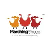 MarchingSheep MarchingSheep