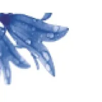 Bluebell Compuserve Pvt Ltd