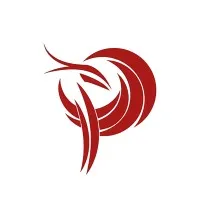 Phoenix Global Solutions - PGS