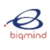 Biqmind Biqmind