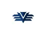 V S International
