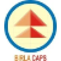 Birla Capital and Financial Services Limited