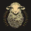 Spinning Yarn | visual communications agency Spinning Yarn | visual communications agency