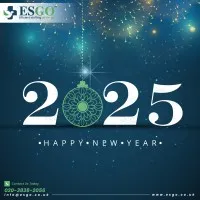 ESGO HEALTHCARE