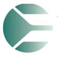 NSI Advisory Services NSI Advisory Services