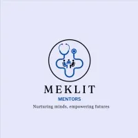 Meklit Mentors