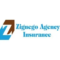 Zignego Agency Inc