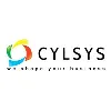 Cylsys Software Solution Pvt Ltd.