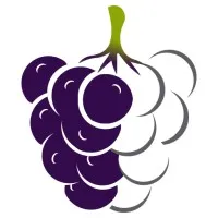 Mulberry Analytics