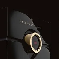 Steinway Lyngdorf verified emails