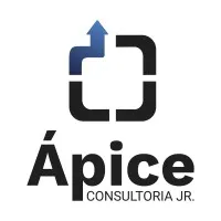 Ápice Consultoria Jr.