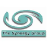 The Synergy Group