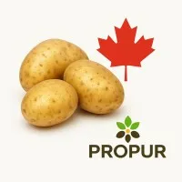 Propur