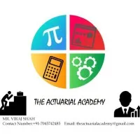 The Actuarial Academy