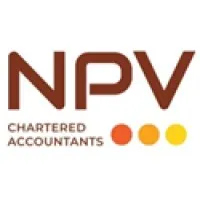 NPV & Associates LLP