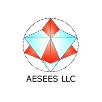 AESEES Consulting