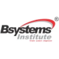 Bsystems Institute