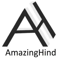 AMAZINGHIND INTERNATIONAL PVT LTD