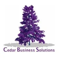 Cedar Business Solutions Ltd