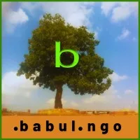 Babul Films Society NGO