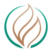 TFA Analytics