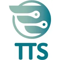 Technology Transformation Strategies