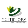 Multiflora Group Multiflora Group