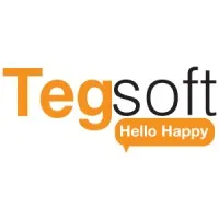 TEGSOFT