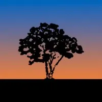 East Hills Engineering Associates LLC East Hills Engineering Associates LLC