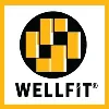 Wellfit International Auto World