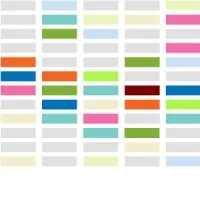 The Global Health Network